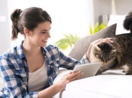Environmental Enrichment for Cats: Nurturing Their Natural Instincts and Well-being