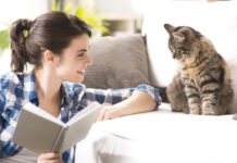 Important Lessons the Journey of Cat Parenthood Important Lessons the Journey of Cat Parenthood