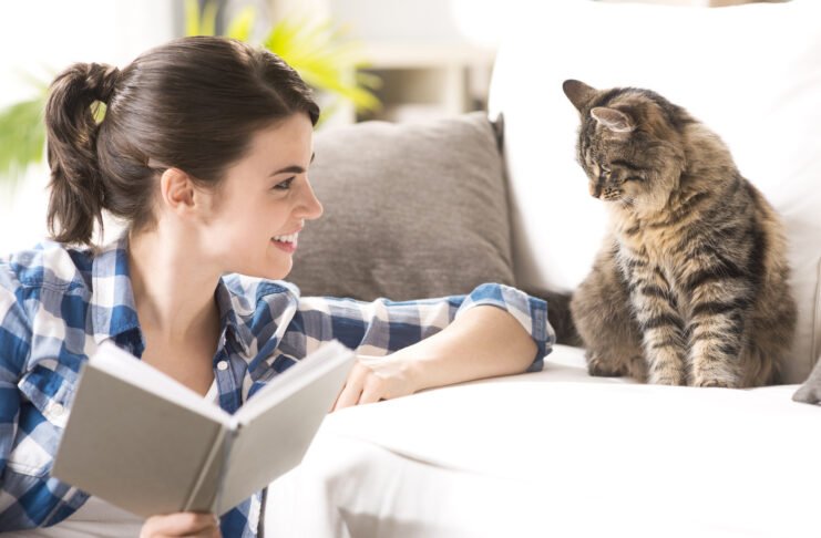 Important Lessons the Journey of Cat Parenthood